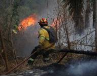 Uno de los incendios reportados, en 2024, en el Distrito Metropolitano de Quito.