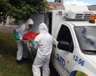 Personas del servicio 'Animales en el Cielo' levanta el cadáver de una mascota en Quito.