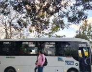 Nueva ruta de transporte público para Lloa.