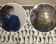 La detención del ciudadano chino se produjo el pasado viernes.