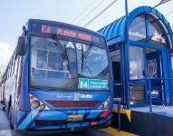 Una de las unidades del Trbolebús que brindan servicio en Quito.