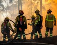 Un grupo de bomberos trabaja extinguiendo al fuego en la capital.