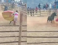 Torero muere tras ser embestido por Toro