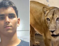 Gerson de Melo Machado murió tras ingresar en el recinto de los leones en un parpque natural de Brasil.