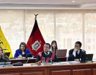 Imagen de la directiva de la Corte Nacional de Justicia.