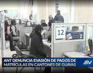 Televistazo 19h00 10-08-2021