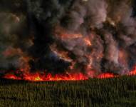 Los incendios que azotan Canadá han devastado ya una superficie total de 100.000 kilómetros cuadrados, similar a la de Islandia