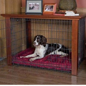 Originales habitaciones para perros