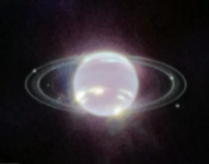 Las imágenes fueron capturadas por el telescopio James Webb.