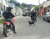 Los cadáveres fueron hallados en diferentes sectores de Esmeraldas (foto referencial).