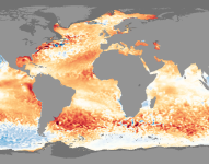Imagen de la temperatura de los océanos durante el mes de marzo de 2023.