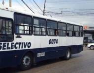 En Guayaquil chofer de bus fue asesinado a golpes tras resistirse al robo