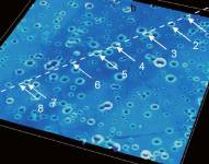 Se trata de una prueba de concepto -ahora hay que optimizarla y hacer ensayos en humanos- cuya descripción se publica en la revista Chem.