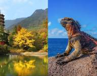 La Voz de la Naturaleza: El documental que revela el nexo biológico entre las Galápagos y China