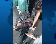 Sacapintas amarrados