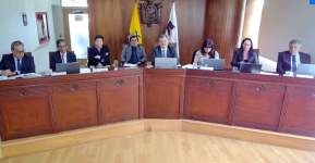 Jueces constitucionales ponen en duda el carácter económico de la Ley de Solidaridad