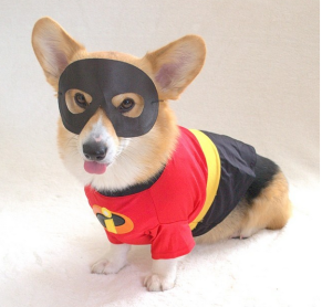 Los 15 perros más tiernos disfrazados en este Halloween