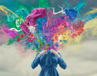 Las investigaciones más extrañas surgen de la curiosidad.