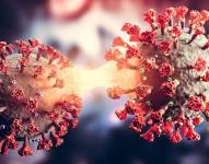 Imagen referencial de un virus.