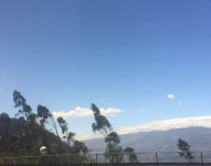 Fuertes vientos se esperan esta tarde en la capital