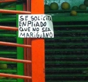 Las 10 ofertas de trabajo más inusuales