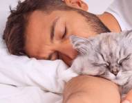 Imagen referencial de un gato con su dueño.