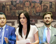 Darwin Pereira, Marcela Holguín y Esteban Torres podrían ser los nuevos rostros del Consejo de Administración Legislativa.