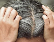 Imagen referencial. Canas.