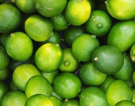 Limones en una imagen de archivo.