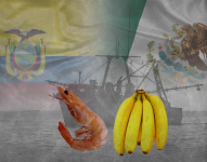 Según datos del Banco Central del Ecuador, entre enero y mayo de 2022, Ecuador ha exportado 421 millones de toneladas de camarón y 2 934 toneladas de banano.