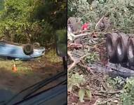 Siniestro de tránsito múltiple en Archidona, Napo.