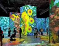 Imágenes compartidas en redes sociales sobre la exposición 'Imagine Van Gogh'.