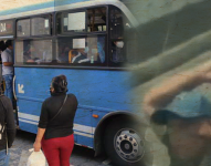 Imagen del individuo