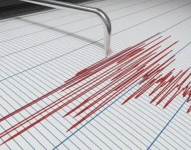 Imagen referencial del registro de un sismo.