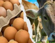 El sector avícola y lácteo se ha visto afectado.