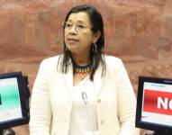 El Pleno de la Asamblea debe decidir si cesa o no a Guadalupe Llori