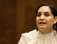 Mireya Pazmiño, asambleísta por Pachakutik, desde el Pleno de la Asamblea.