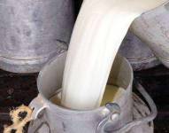 La ley de fijación del precio de la leche fue aprobada con 103 votos en la Asamblea Nacional