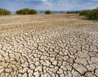 Imagen referencial. Sequía.