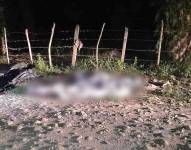 Foto del hallazgo de