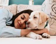 Imagen referencial de una persona durmiendo con su mascota, algo que podría ser peligrosos según el estudio realizado por el Instituto del Sueño Español.