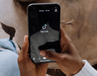 TikTok es una de las redes sociales más importantes del mundo.