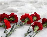 Imagen referencial de unos claveles.