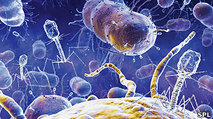 Los virus informáticos: una amenaza seria contra la tecnología médica