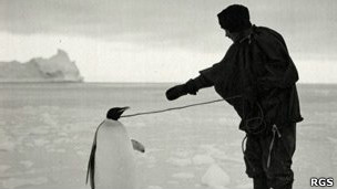 El vino en el embarazo perjudica el coeficiente intelectual del bebé