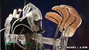 El secreto de la adherencia de Spiderman