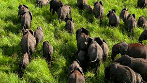 El vino en el embarazo perjudica el coeficiente intelectual del bebé