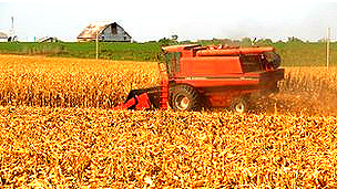 Los riesgos de la cirugía bariátrica
