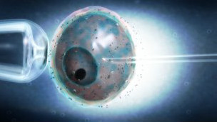 Embriones frescos vs. congelados en IVF: un debate sin resolverse