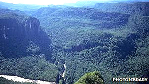 Los riesgos de la cirugía bariátrica